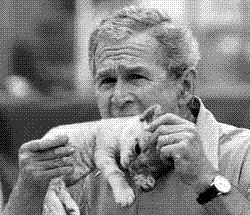 GEORGE W BUSH