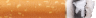 Cigarette