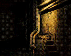 THIS IS WHERE MARCUS LIVES
