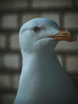 his smug face makes me want to PUKE